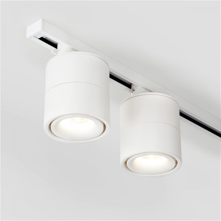 Elektrostandard 4690389122170