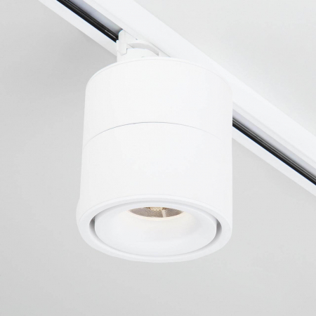 Elektrostandard 4690389122170