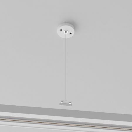 Maytoni TRA001CW-11W