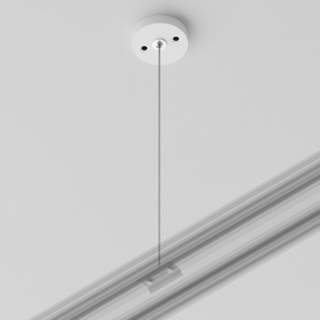 Maytoni TRA001CW-11W