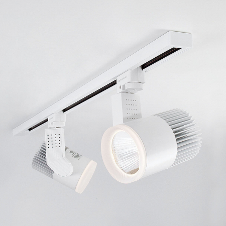 Elektrostandard 4690389111921