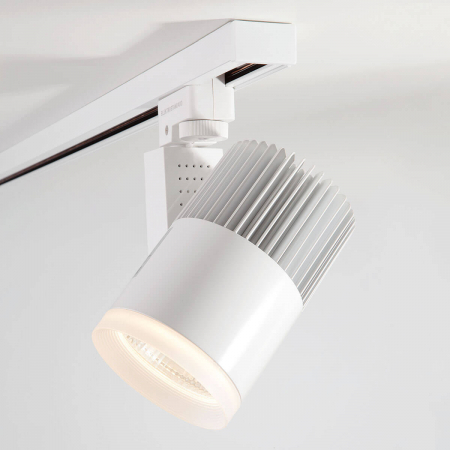 Elektrostandard 4690389111921