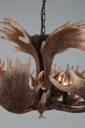 Omnilux OML-52203-12