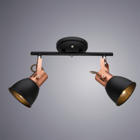 Arte Lamp A1677PL-2BK