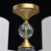 Chiaro 619011408