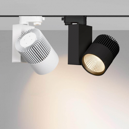 Arlight 026377