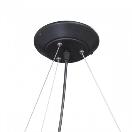 Vitaluce V4485-1/10S