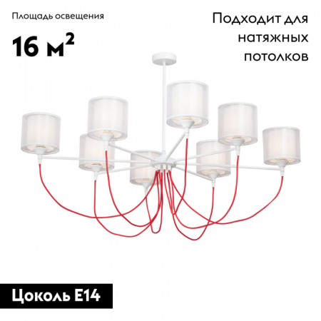 Vitaluce V4494-0/8PL