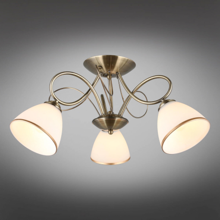 Omnilux OML-25307-03