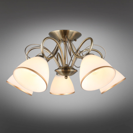 Omnilux OML-25307-05