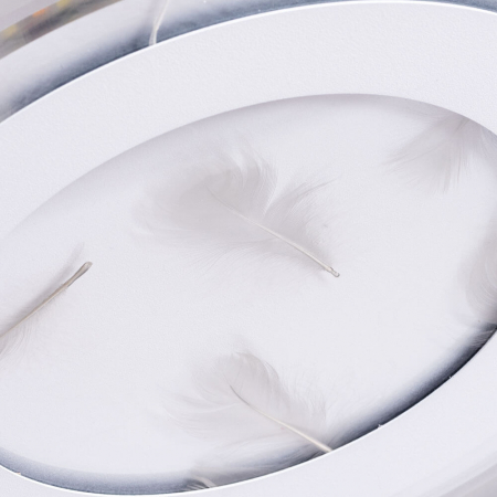 Arte Lamp A1397PL-1CL