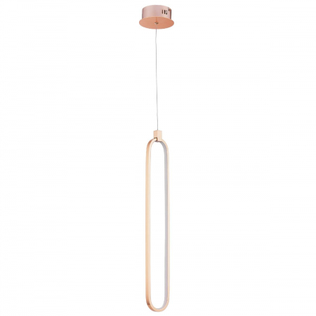 Maytoni MOD017PL-L13G