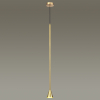 Odeon Light 3884/1G