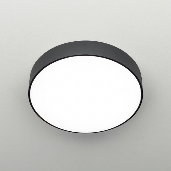 Накладной светодиодный светильник Citilux Тао CL712242N