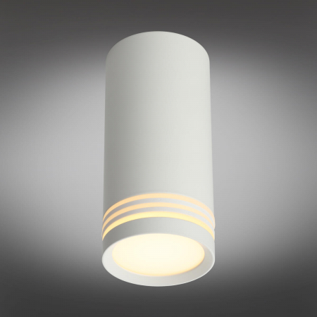 Omnilux OML-100809-01