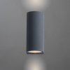Arte Lamp A3102AL-2GY