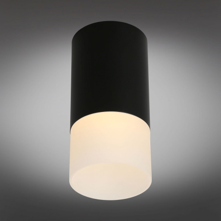 Omnilux OML-100619-01