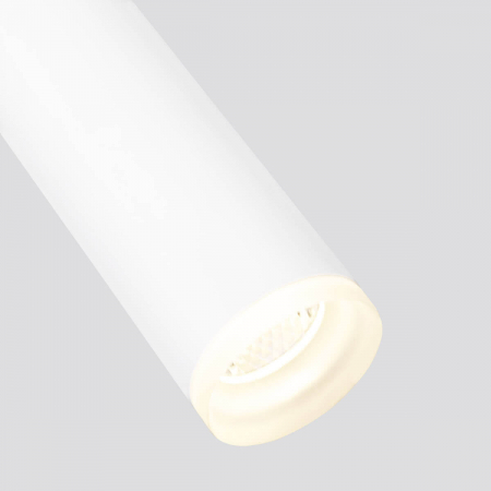 Elektrostandard 4690389135804