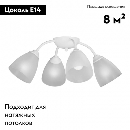 Vitaluce V3737-0/4PL