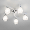 Citilux CL152150