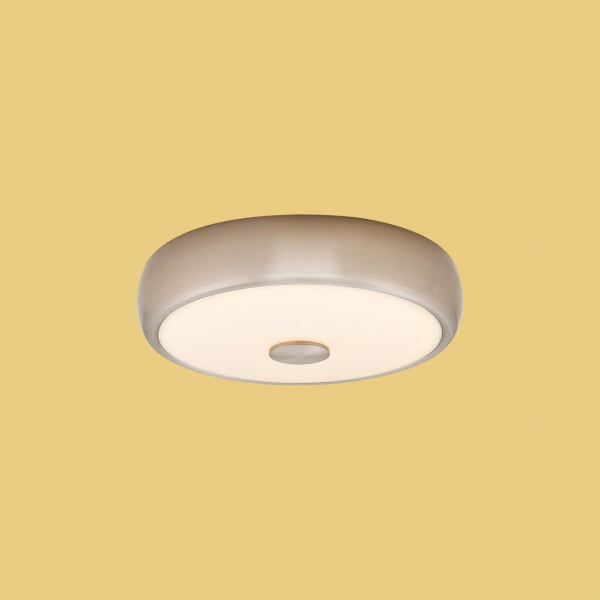 Накладной светильник Citilux CL706321