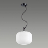 Odeon Light 4753/1