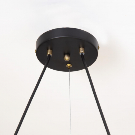 Citilux CL105195