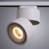 Arte Lamp A7716PL-1WH