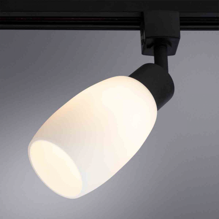 Arte Lamp A3055PL-1BK