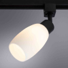 Arte Lamp A3055PL-1BK