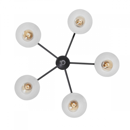 Vitaluce V4805-1/5PL