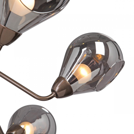 Vitaluce V4869-7/6PL