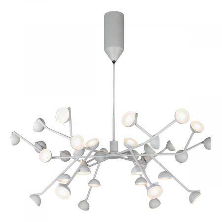 iLedex X088301-100 SWH