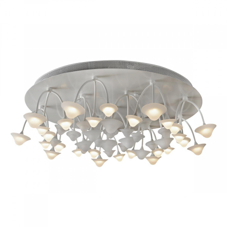 iLedex C50068/16Y WH