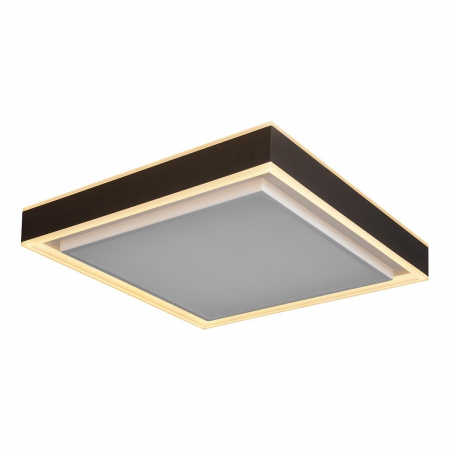 iLedex B6233-117W/520*520 WH