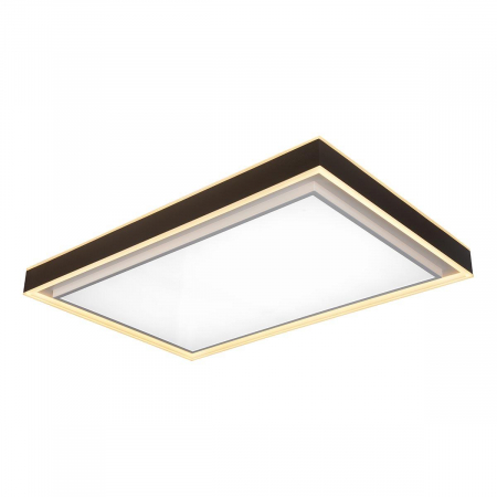 iLedex B6233-196W/930*630 WH