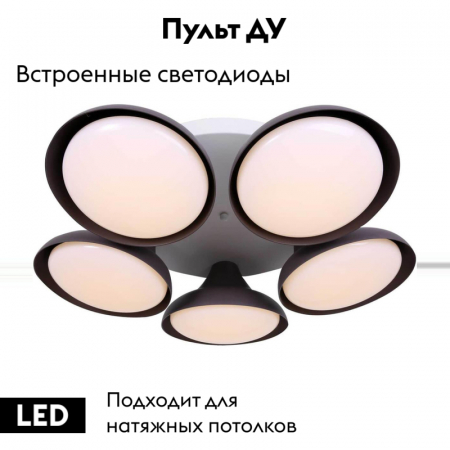 Stilfort 2081/08/05C