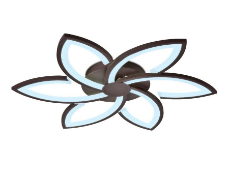 Ambrella Light FA447