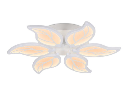 Ambrella Light FA459