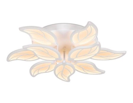 Ambrella Light FA460