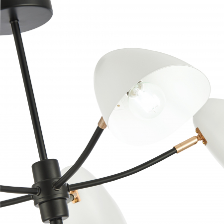 Evoluce SLE103602-05