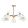 Evoluce SLE103802-05