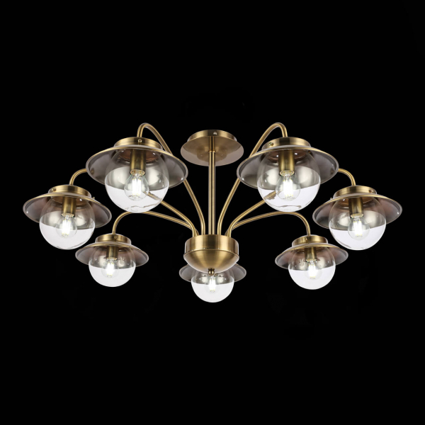 Потолочный светильник EVOLUCE GARONNI SLE110102-07