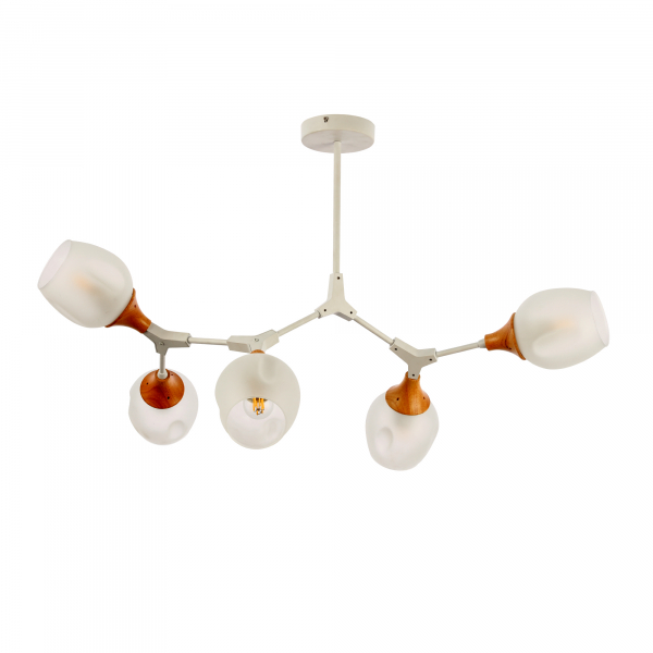 Потолочный светильник EVOLUCE CIOTOLLA SLE113502-05