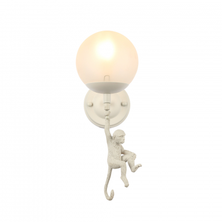 Evoluce SLE115101-01