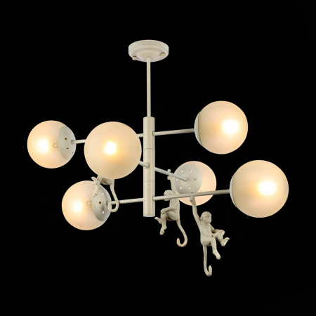 Evoluce SLE115103-06