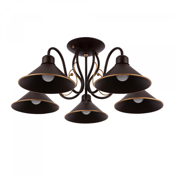 Потолочный светильник EVOLUCE CIOLLA SLE120402-05