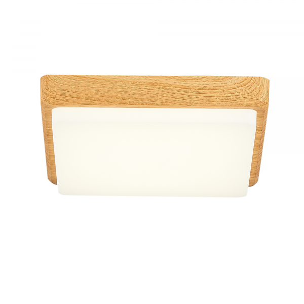 Потолочный светильник EVOLUCE TADDIO SLE200202-01