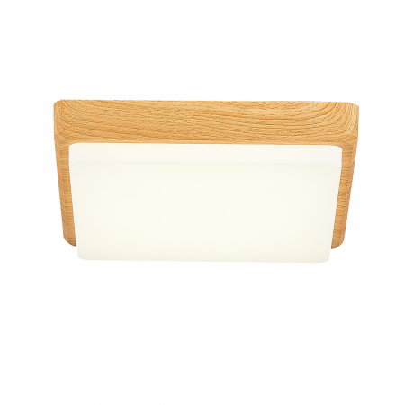 Evoluce SLE200202-01