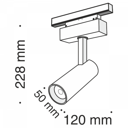 Maytoni TR019-2-10W4K-B